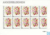 Janneke Brinkman - Akkerbloemen