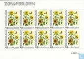 Janneke Brinkman - Zonnebloem