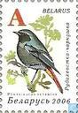 Zangvogels (gestreken papier)