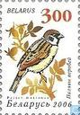 Zangvogels (gestreken papier)