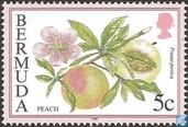Briefmarken - Bermuda - Früchte
