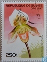 Blumen