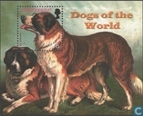 Honden