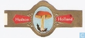 [Grauwstelige Russula]