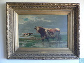 Belgian landscape with cows