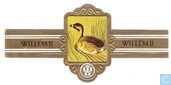 Vleksnavelfuut (Podilymbus prodiceps)