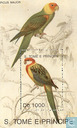 Oiseaux