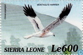 Postzegels - Sierra Leone - Vogels van Afrika