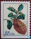 Botanische schilderijen van Merian