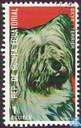 Chiens