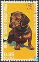 Chiens