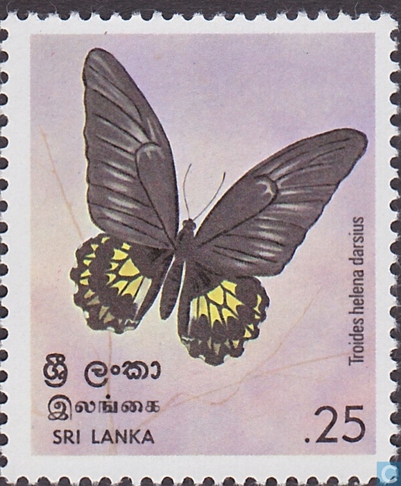 1978 - Native butterflies .25 - stamp - Sri Lanka - LastDodo