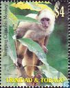 Singes 