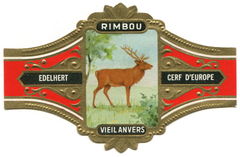 Rimbou 03 Europees wild