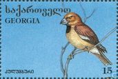 Vögel