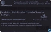 Black Paradise Flycatcher