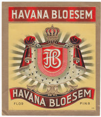 Havana Bloesem