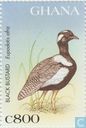 Einheimische Vögel