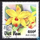 orchidées