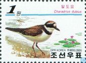 Oiseaux