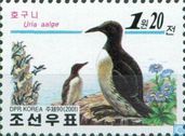 Oiseaux