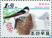 Oiseaux