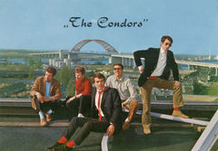 Condors, The