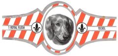 Honden HG (Royal Flush, zilver, ovaal)