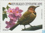 Vögel 