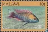 Fische