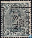 Le roi Albert I