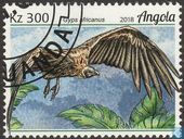 Aigle