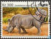 Rhinocéros
