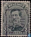 Le roi Albert I