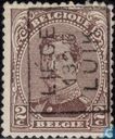 Le roi Albert I