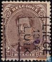 Le roi Albert I