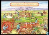 Intangible cultural heritage