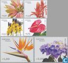Bloemen