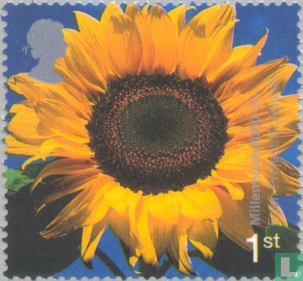 Millénaire
