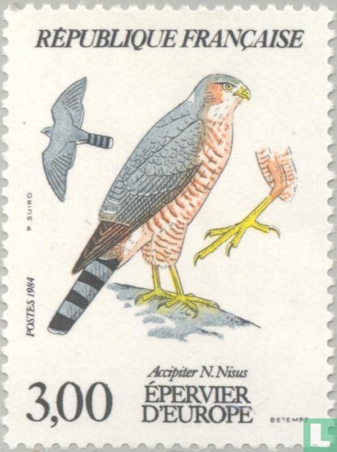 Sperber