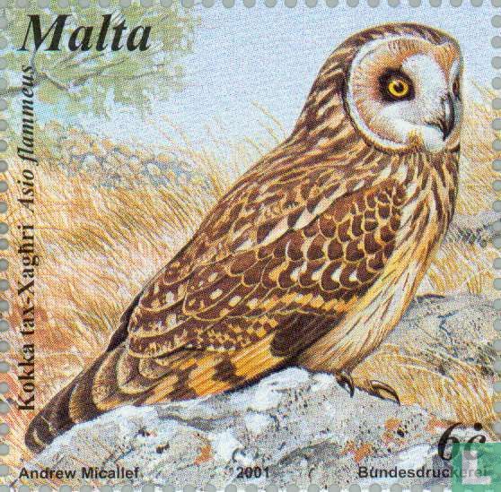Oiseaux
