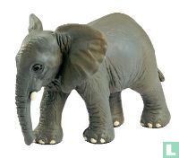 Jonge Afrikaanse Olifant