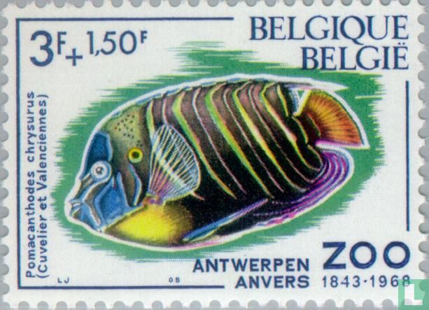 Poisson