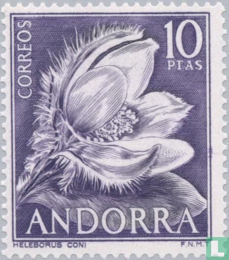 Fleurs