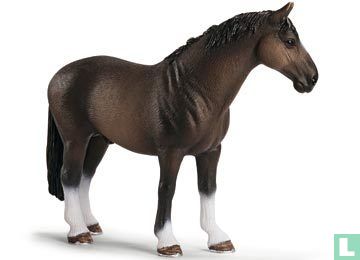 Hanover Stallion