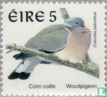 Birds
