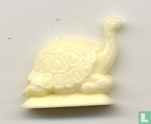 Tortue