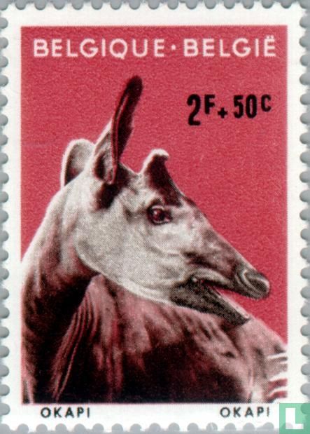 Okapi