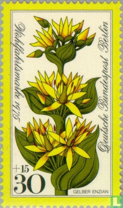 Alpine Flowers