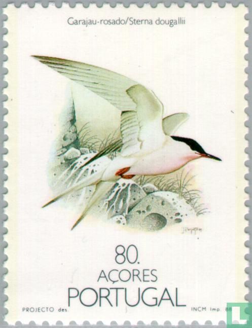 Vögel